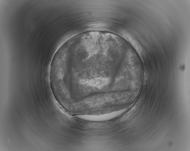 X0000097601386200803211649
