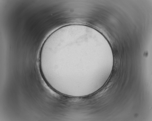 X0000097601387200803211649