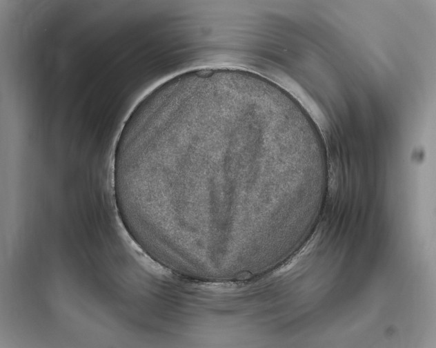 X0000097601388200803211649