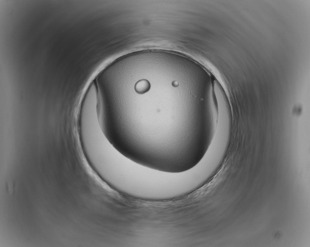 X0000097601389200803211649