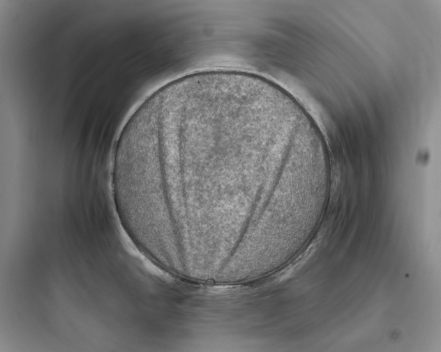 X0000097601390200803211649