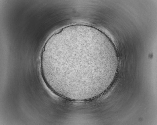 X0000097601391200803211649