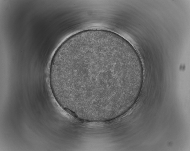 X0000097601392200803211649