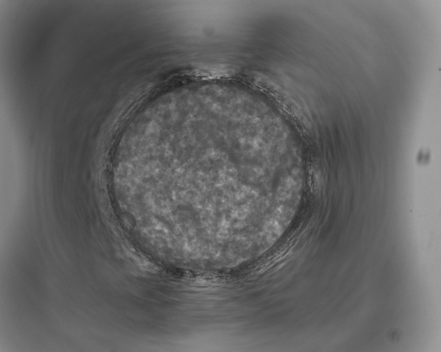 X0000097601393200803211648
