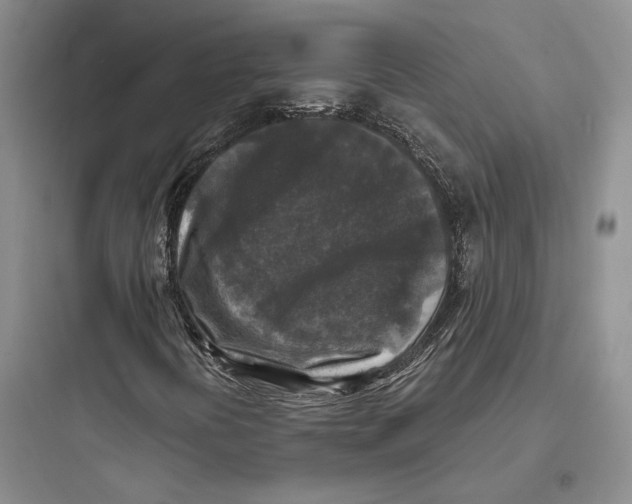 X0000097601394200803211648