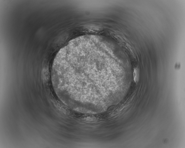 X0000097601395200803211648