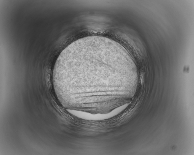 X0000097601396200803211648