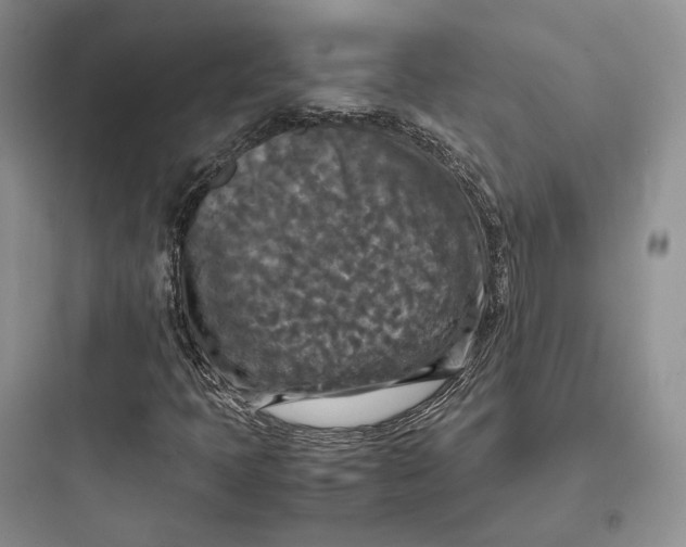 X0000097601397200803211648