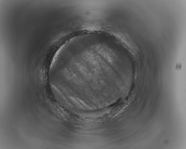 X0000097601398200803211648