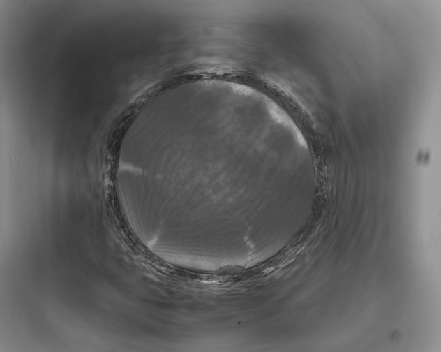 X0000097601399200803211648