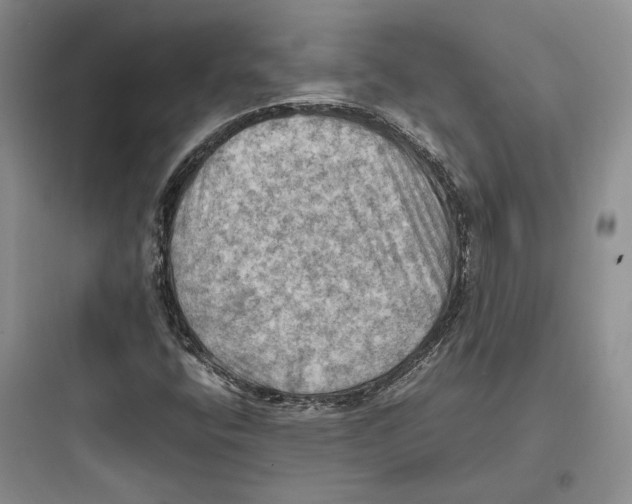 X0000097601400200803211648