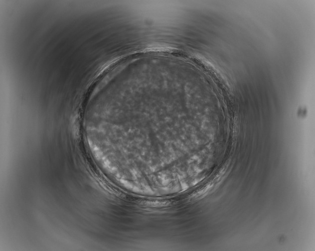 X0000097601401200803211648