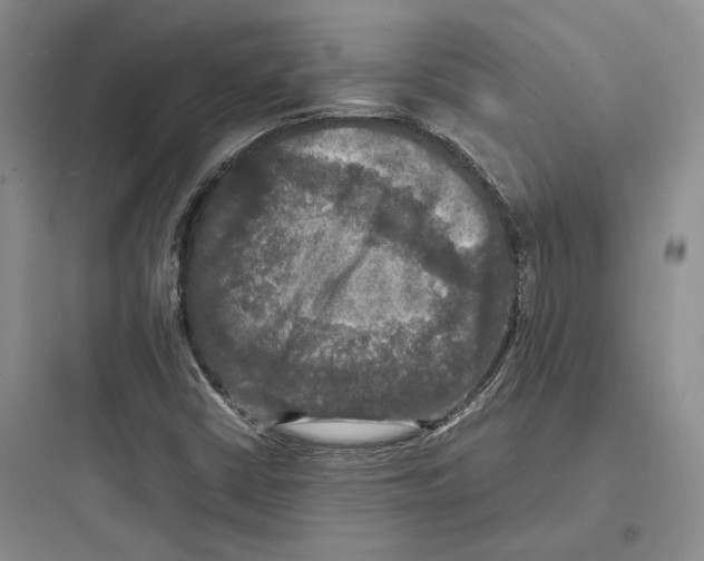 X0000097601402200803211648