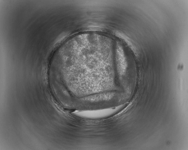 X0000097601403200803211648