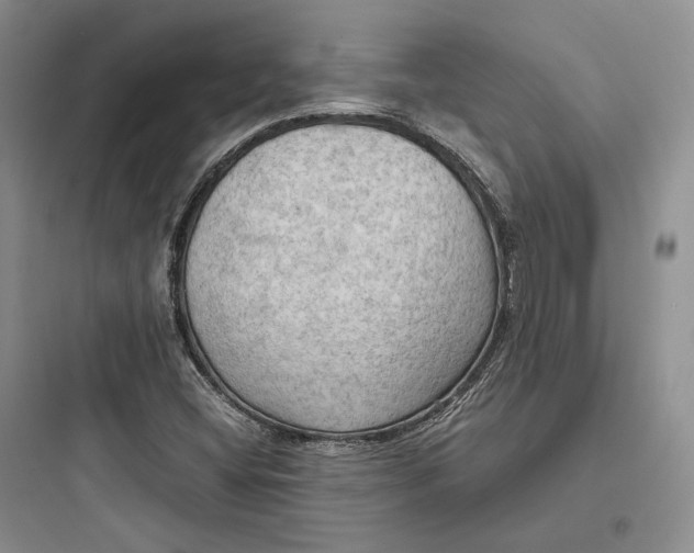 X0000097601404200803211648