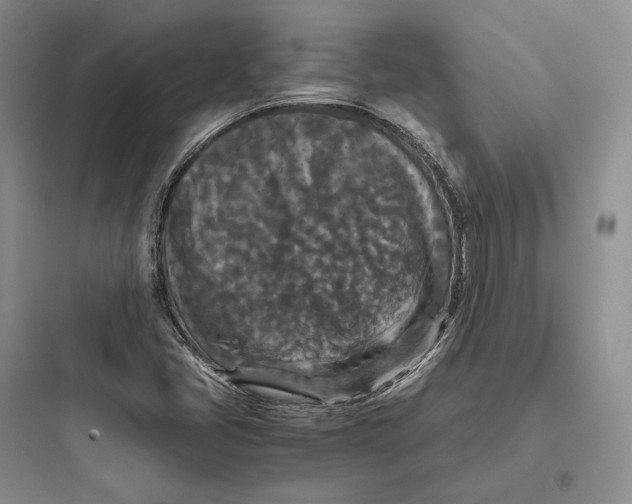 X0000097601405200803211649