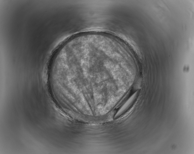 X0000097601406200803211649