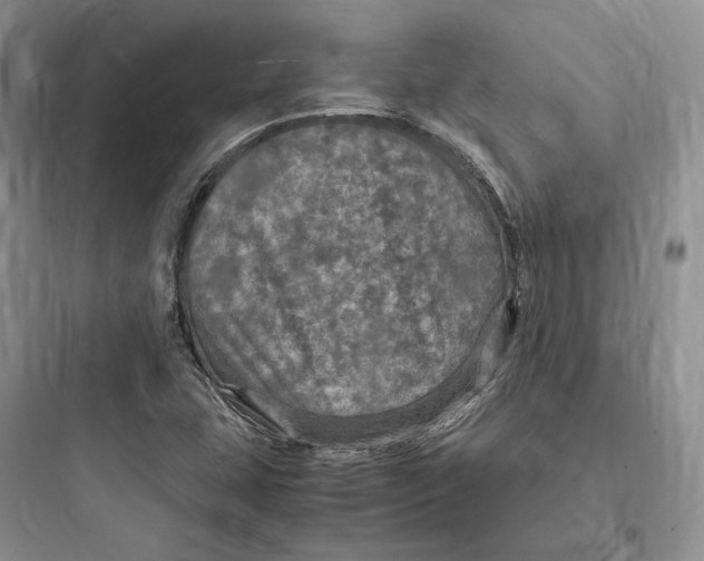 X0000097601407200803211649
