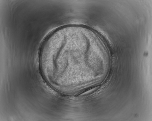 X0000097601408200803211649