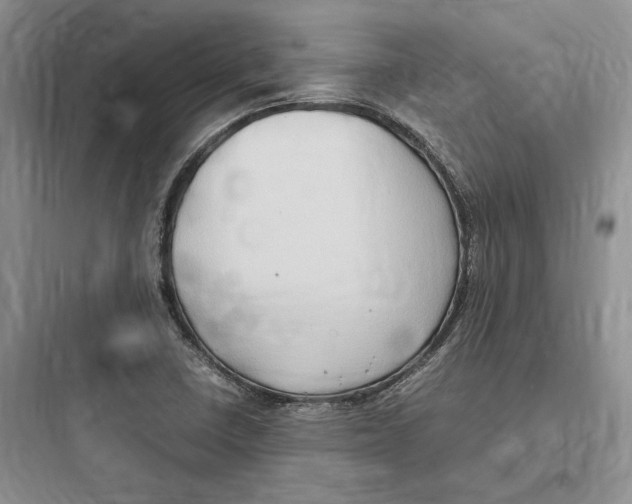 X0000097601410200803211649