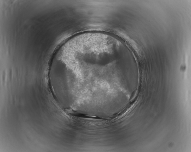 X0000097601411200803211649