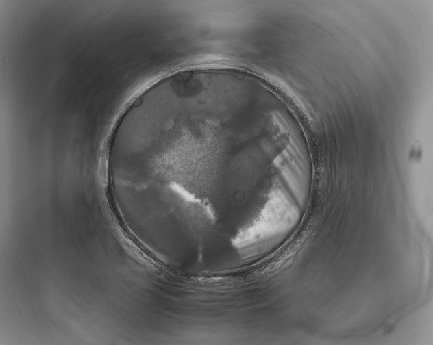 X0000097601413200803211649