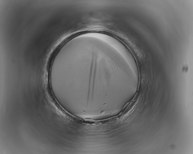 X0000097601414200803211649