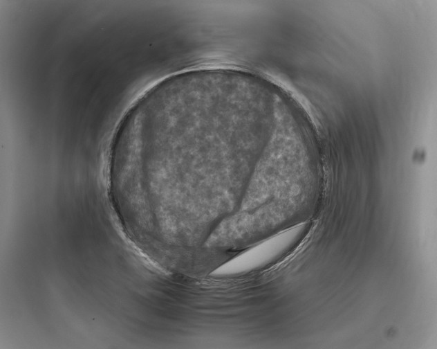 X0000097601415200803211649