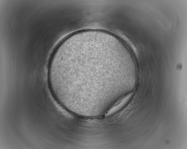 X0000097601416200803211649