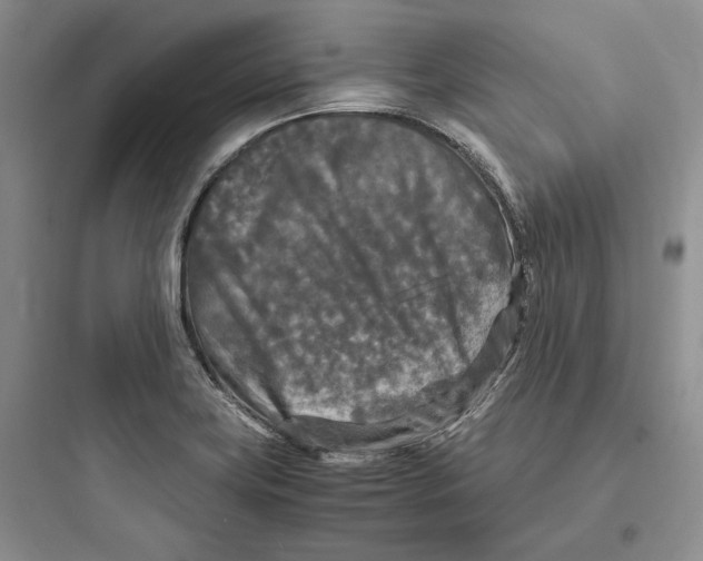 X0000097601419200803211649
