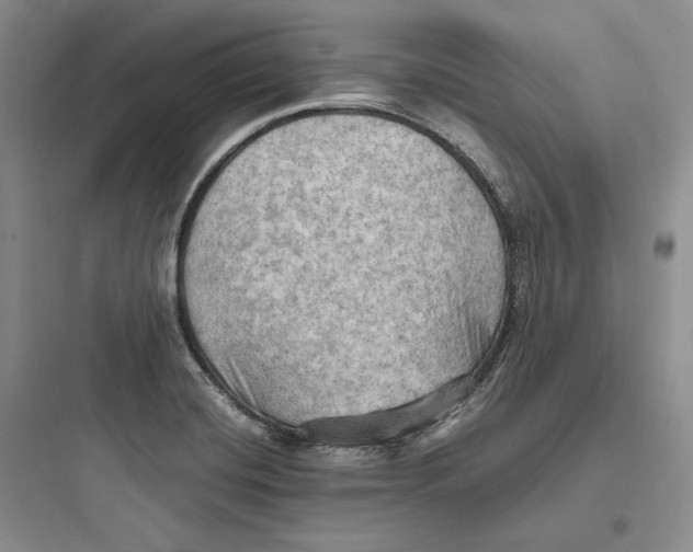 X0000097601420200803211649