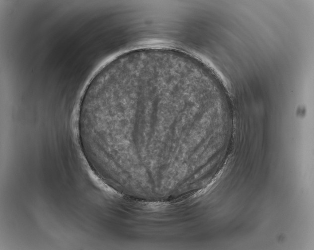X0000097601421200803211649