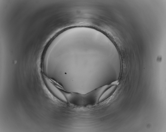 X0000097601422200803211649