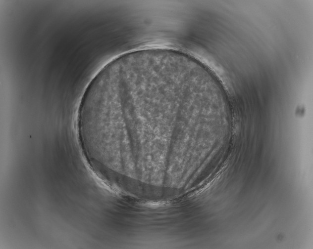 X0000097601423200803211649