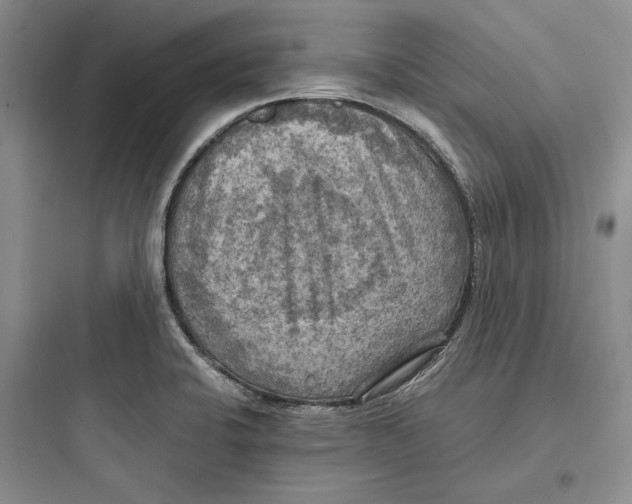 X0000097601424200803211649