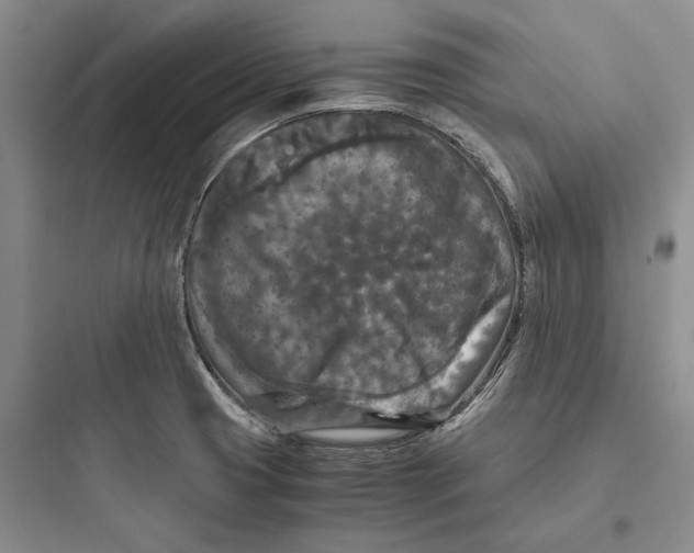 X0000097601425200803211649