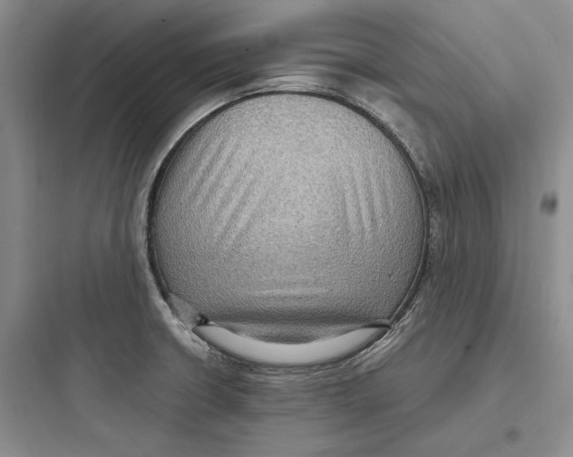 X0000097601426200803211649