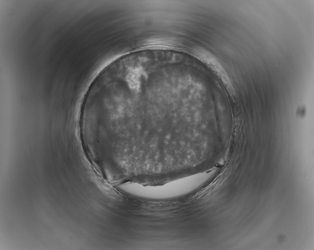 X0000097601427200803211649