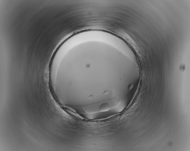 X0000097601428200803211649