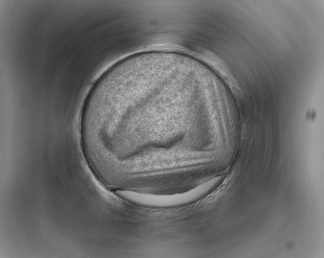 X0000097601430200803211649