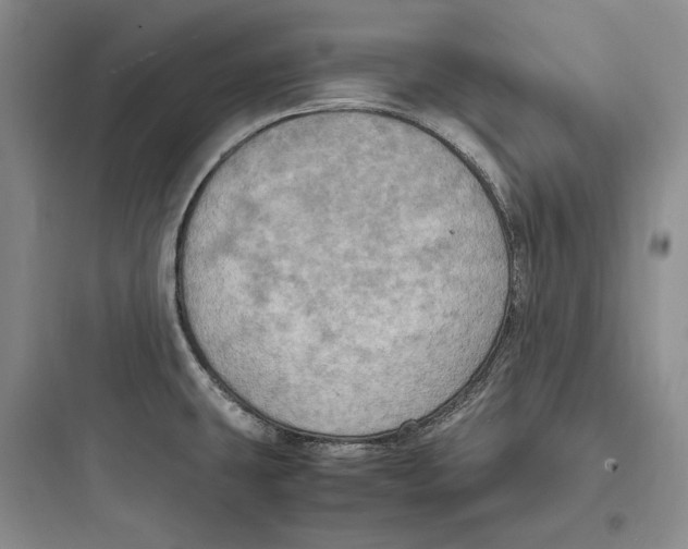 X0000097601431200803211649