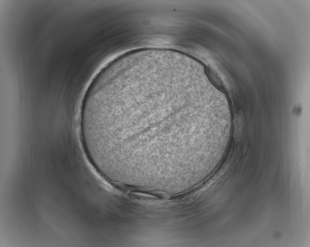 X0000097601432200803211649