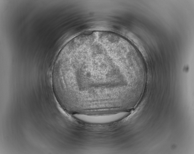 X0000097601433200803211649