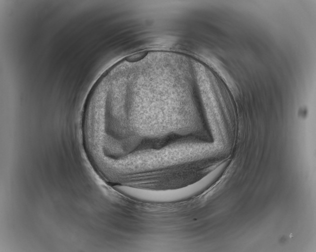 X0000097601434200803211649