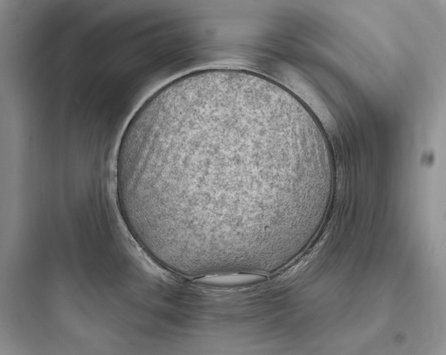 X0000097601436200803211649
