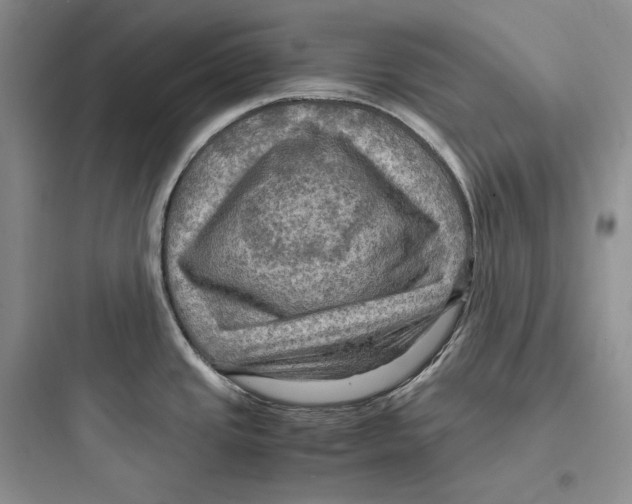 X0000097601437200803211649