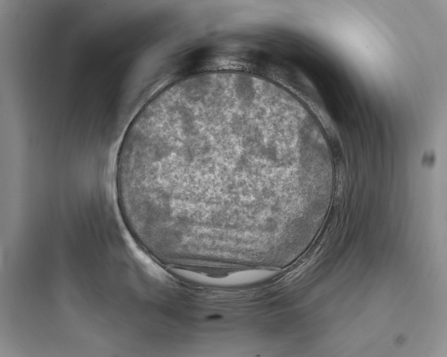 X0000097601439200803211649
