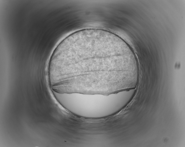 X0000097601440200803211649