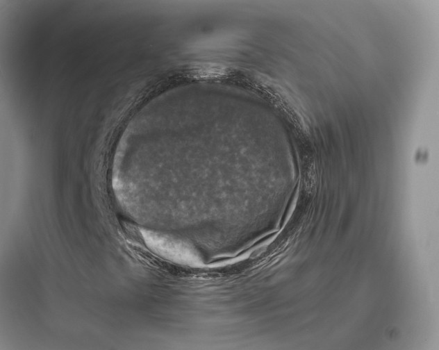 X0000097601441200803211648