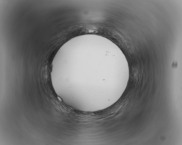 X0000097601442200803211648